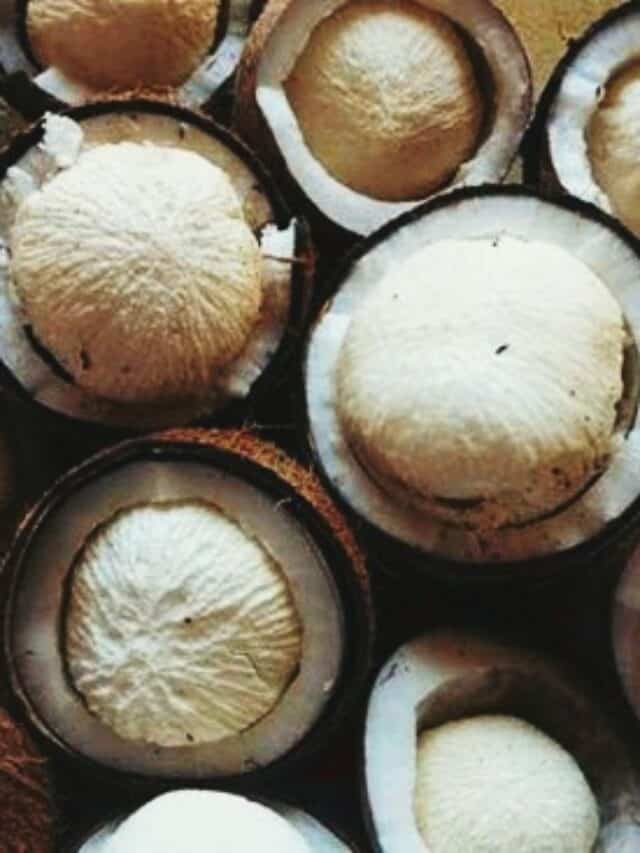 coconut-8