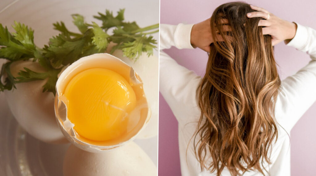 Egg Yolk For Dandruff