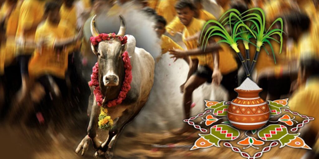 Pongal 2023