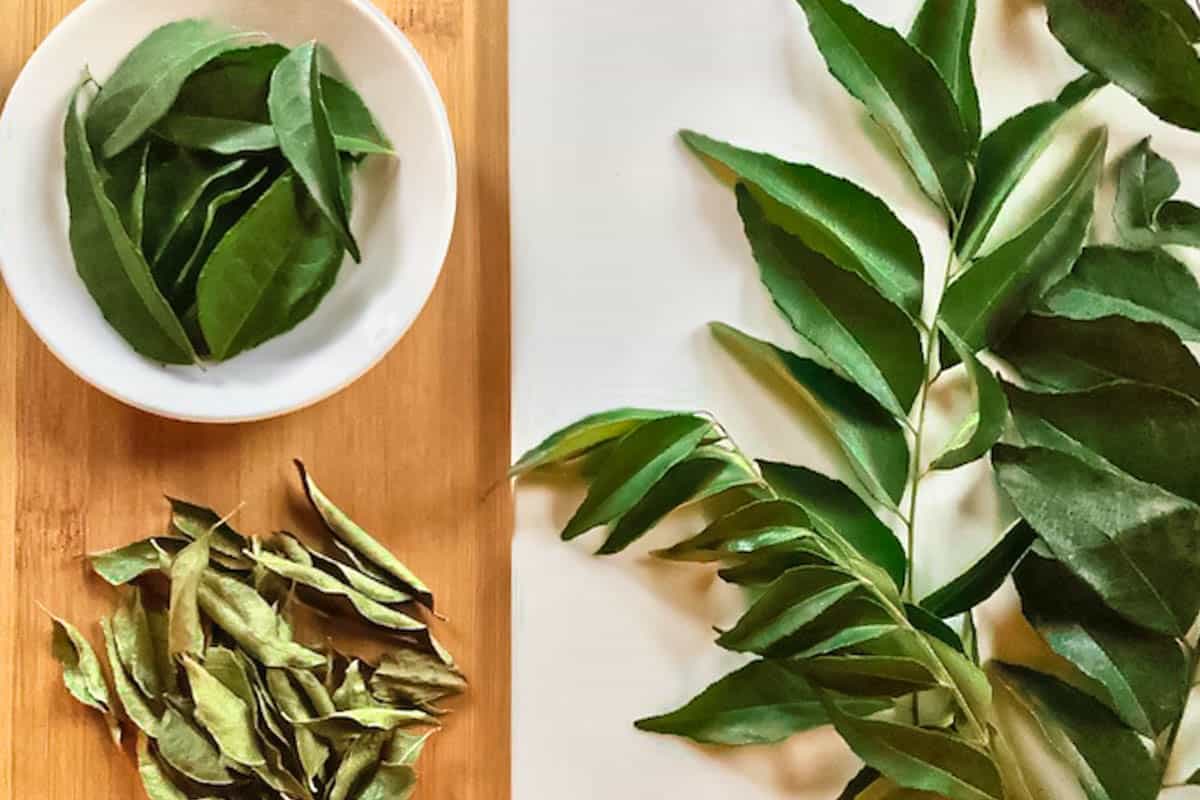 Curry leaves fresh and dried horzontal