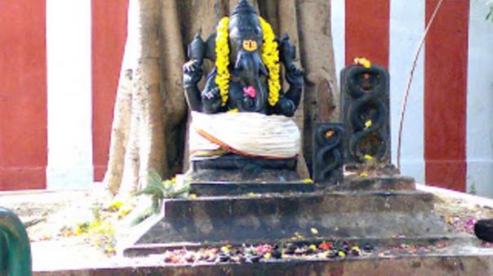 Vanni mara Vinayagar
