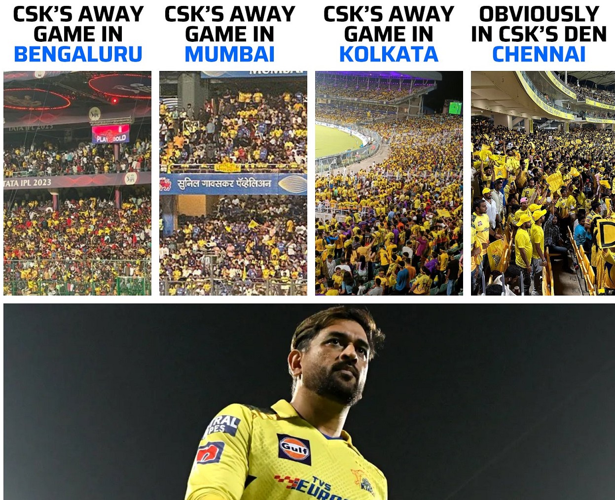 csk thala 1