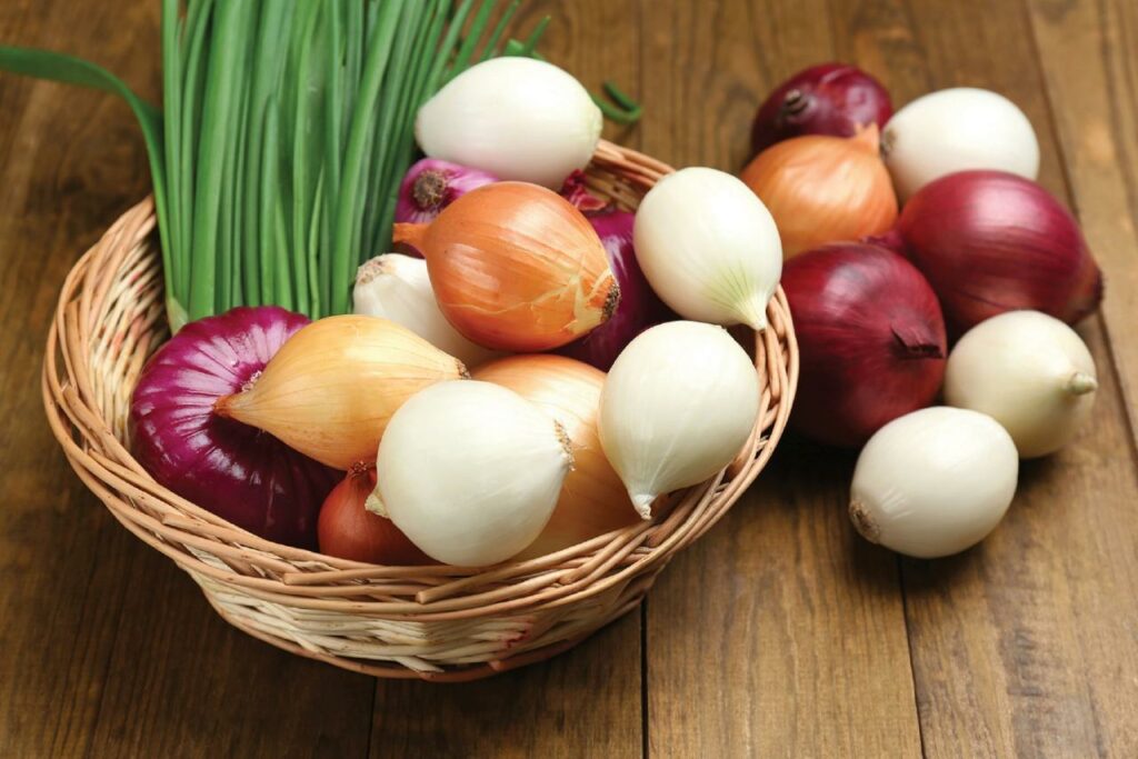 how to keep onions from spoiling tips 1024x683 1