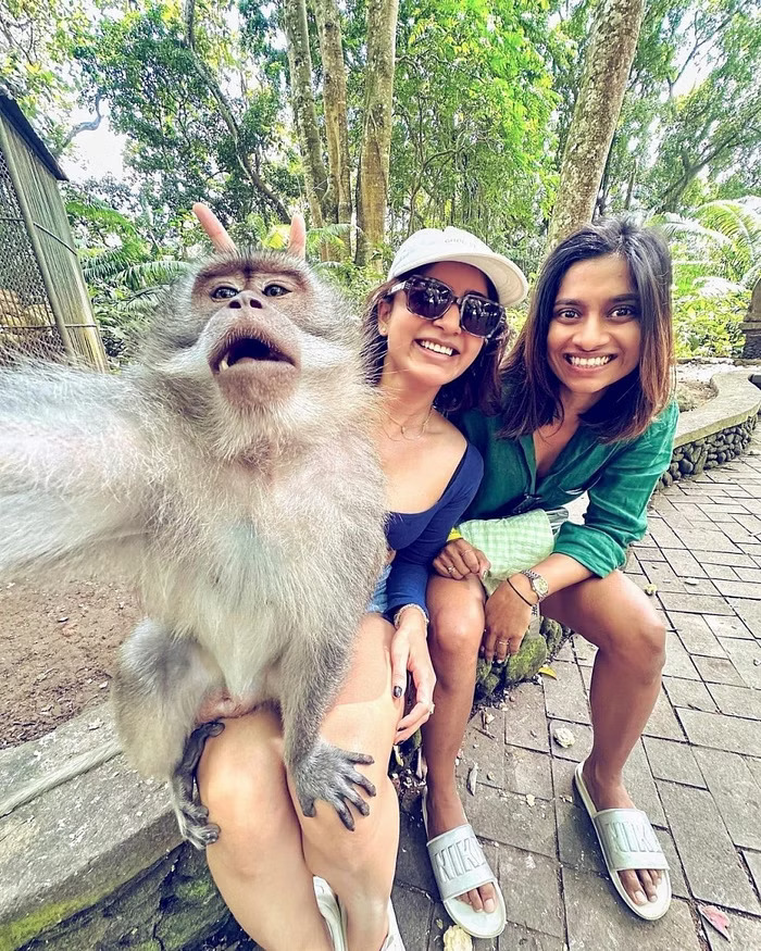 samantha monkey selfie