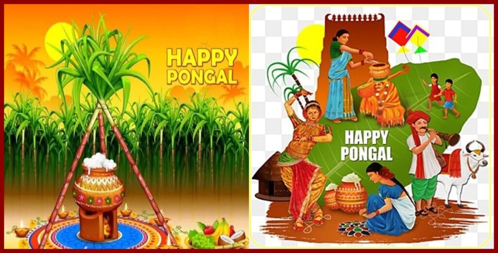 Pongal 24