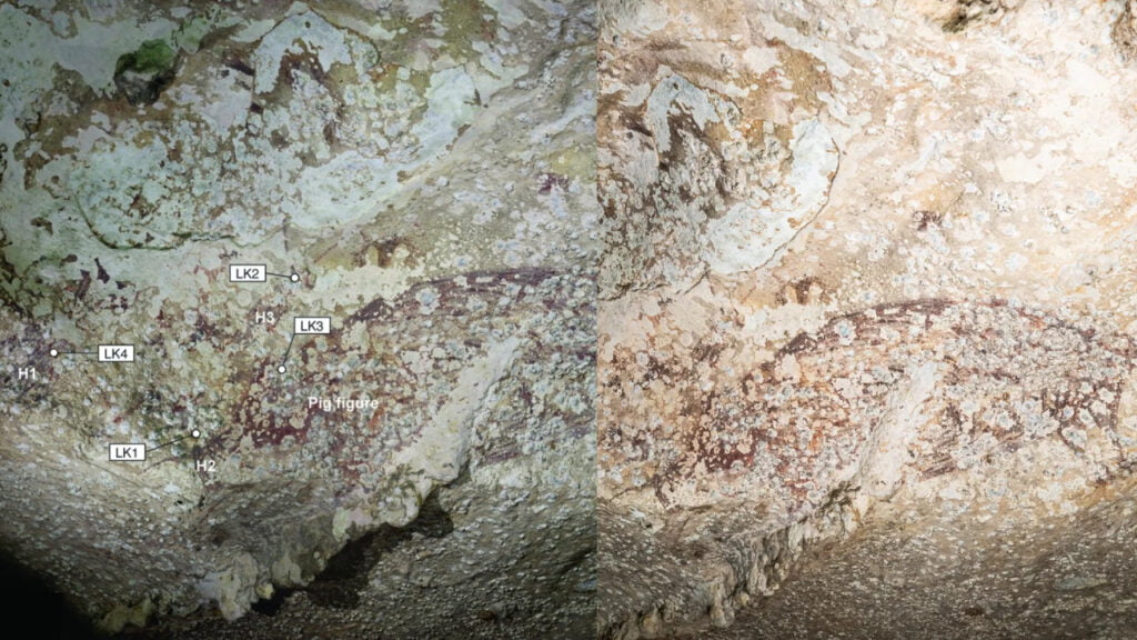 indonesia cave painting