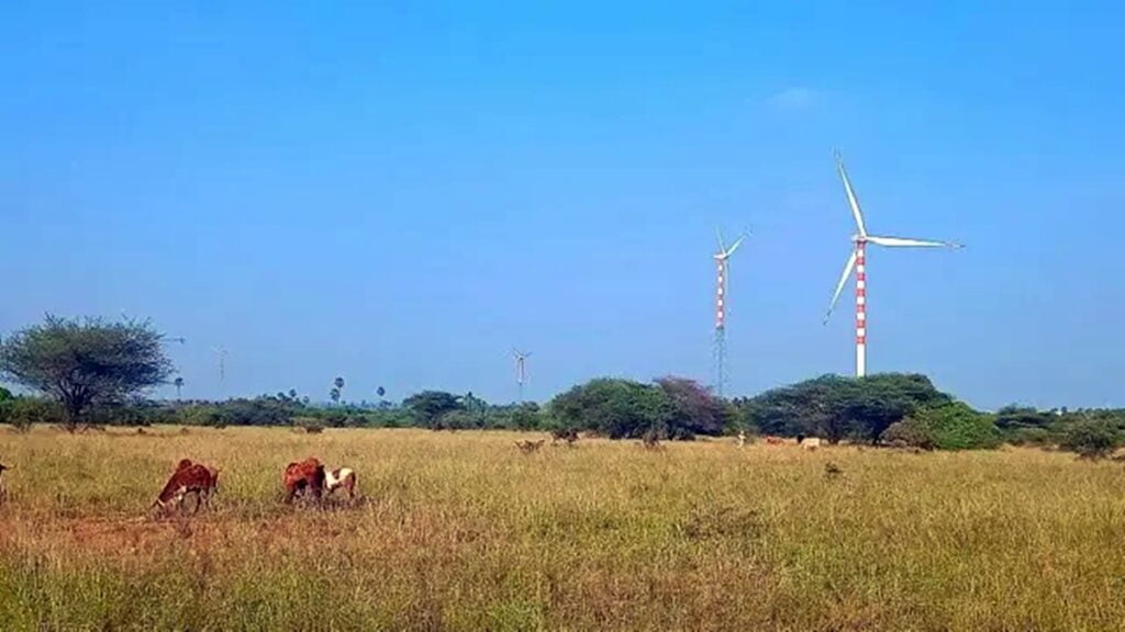 how to get patta in Tamil Nadu for those who have built a house on government land