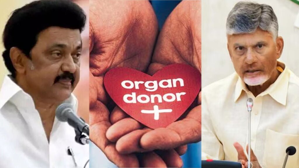 Organ Donor