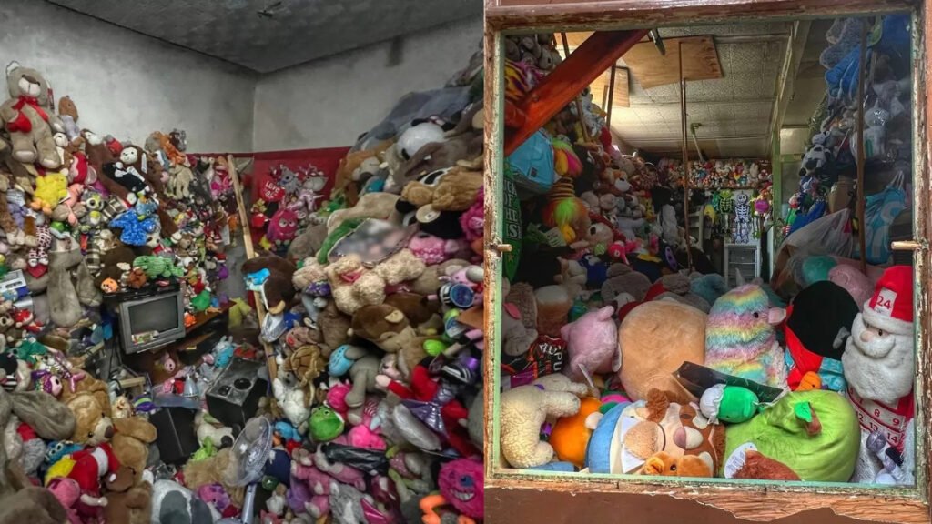 abandoned house with dolls