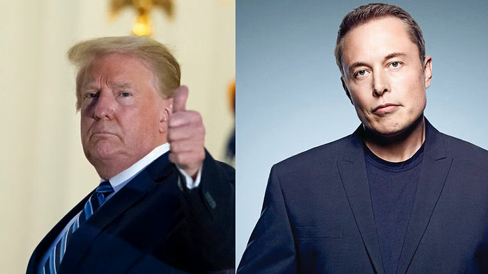 trump elon