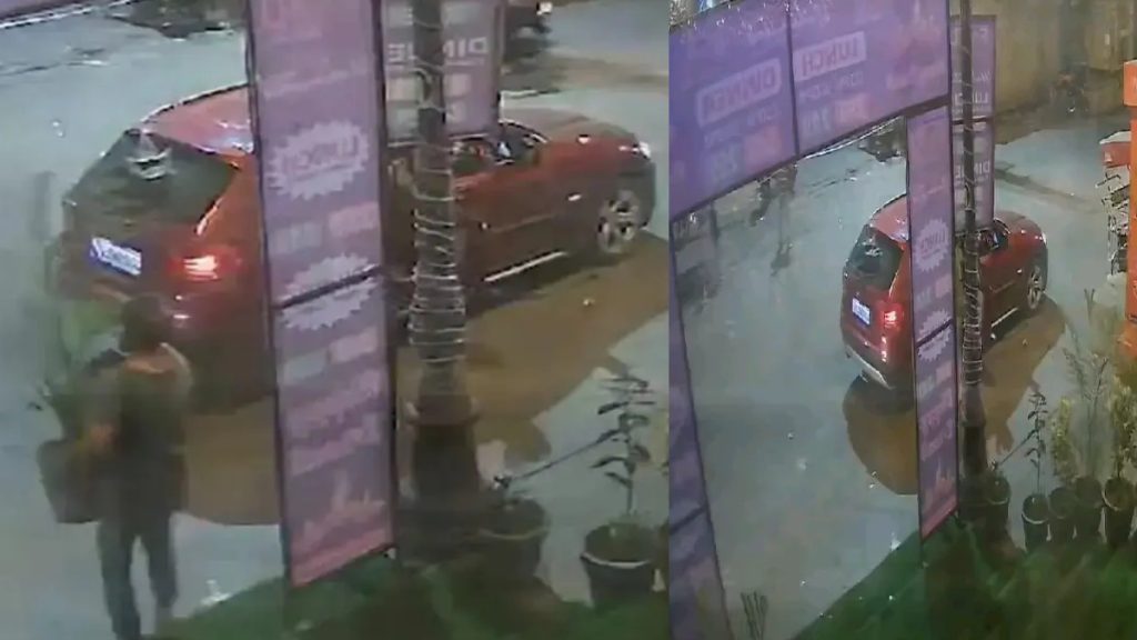 BMW Woman stole flower pot cctv video