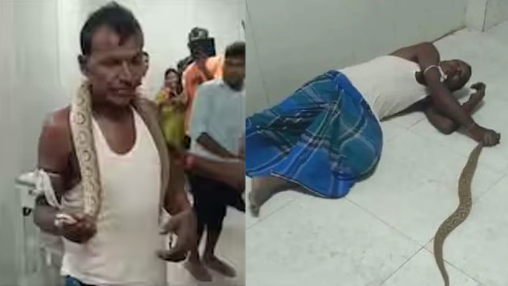 Bihar snake man