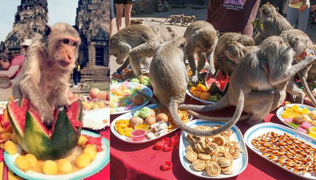 Monkey Buffet festival