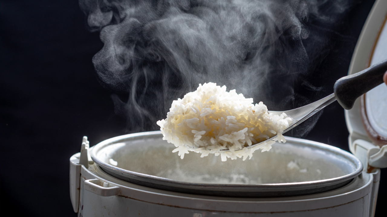 rice cooker
