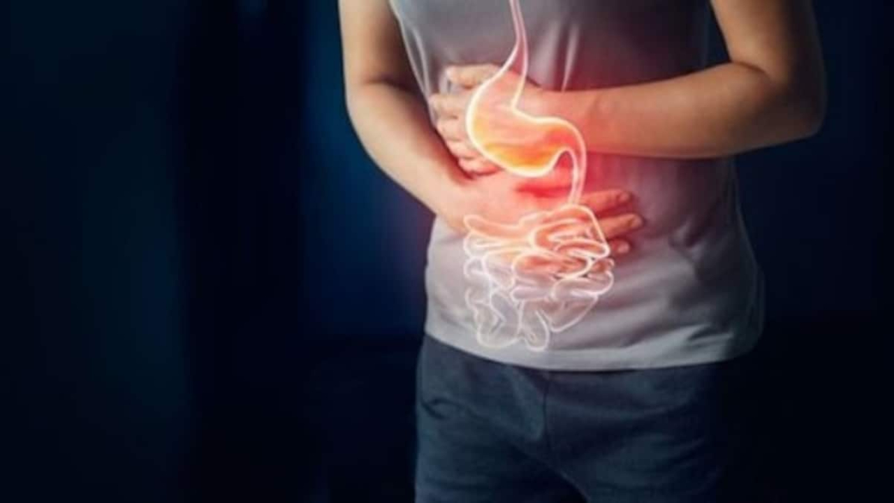 digestion