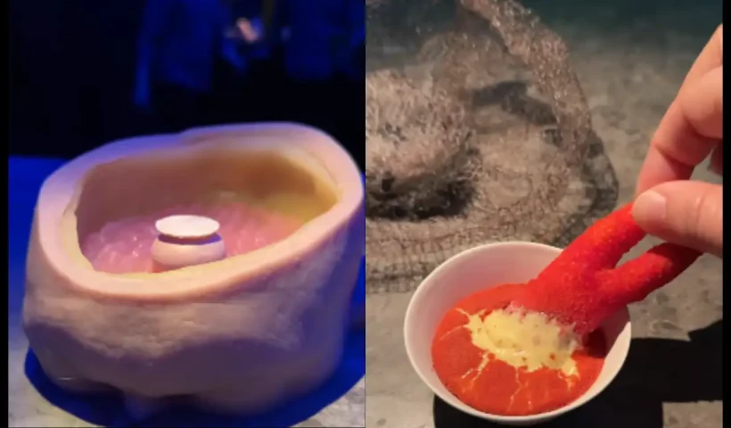 dinner