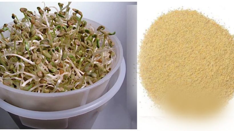 fenugreek powder