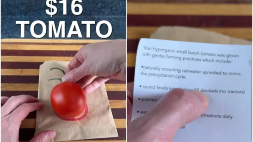 tomato