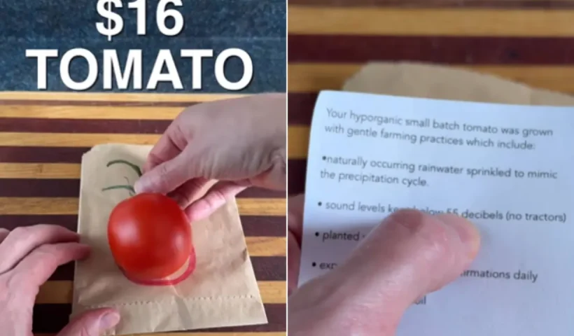 tomato
