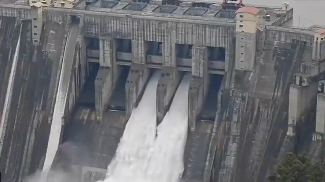 dam 1