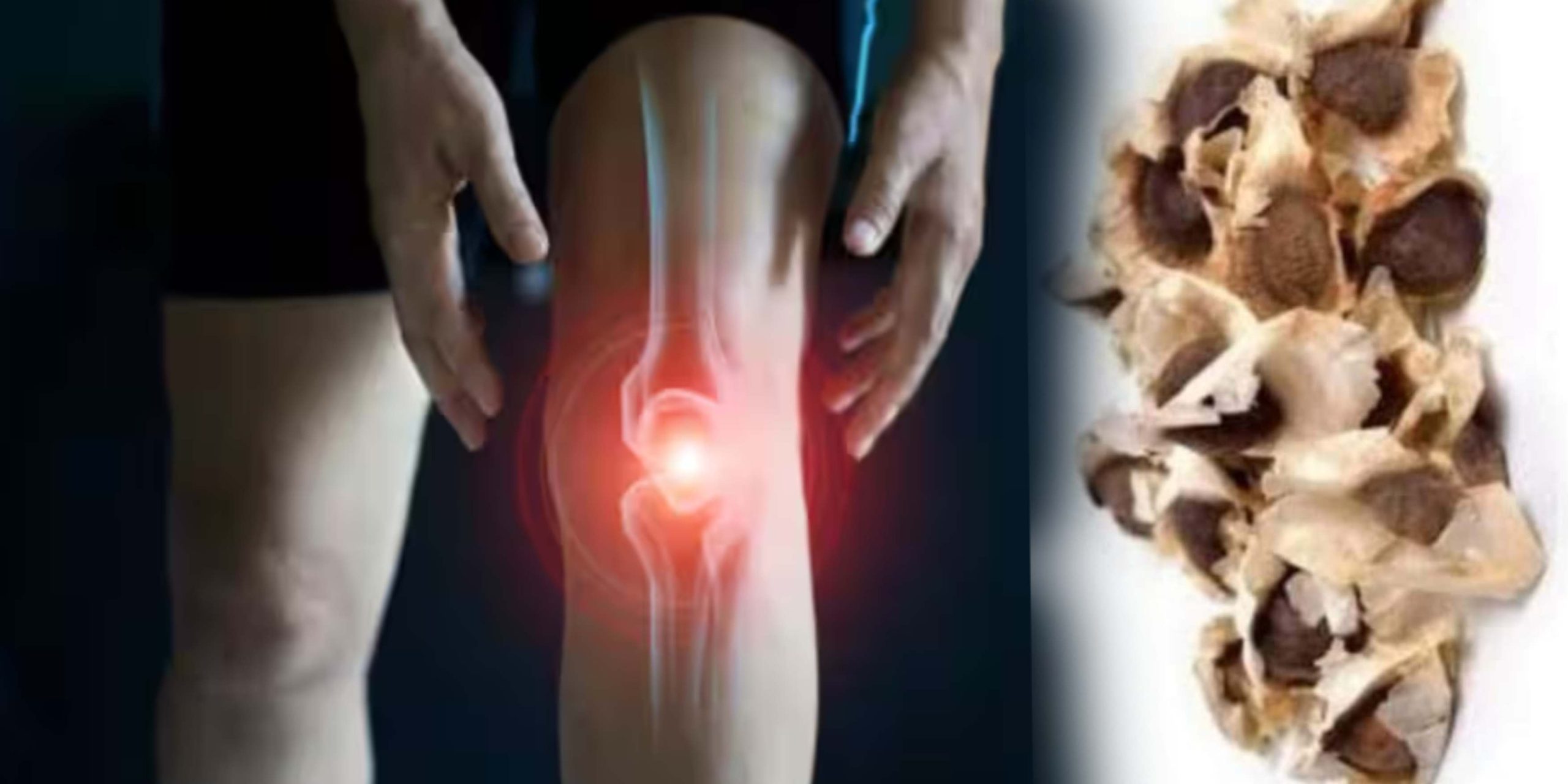 joined pain and drumstick seed