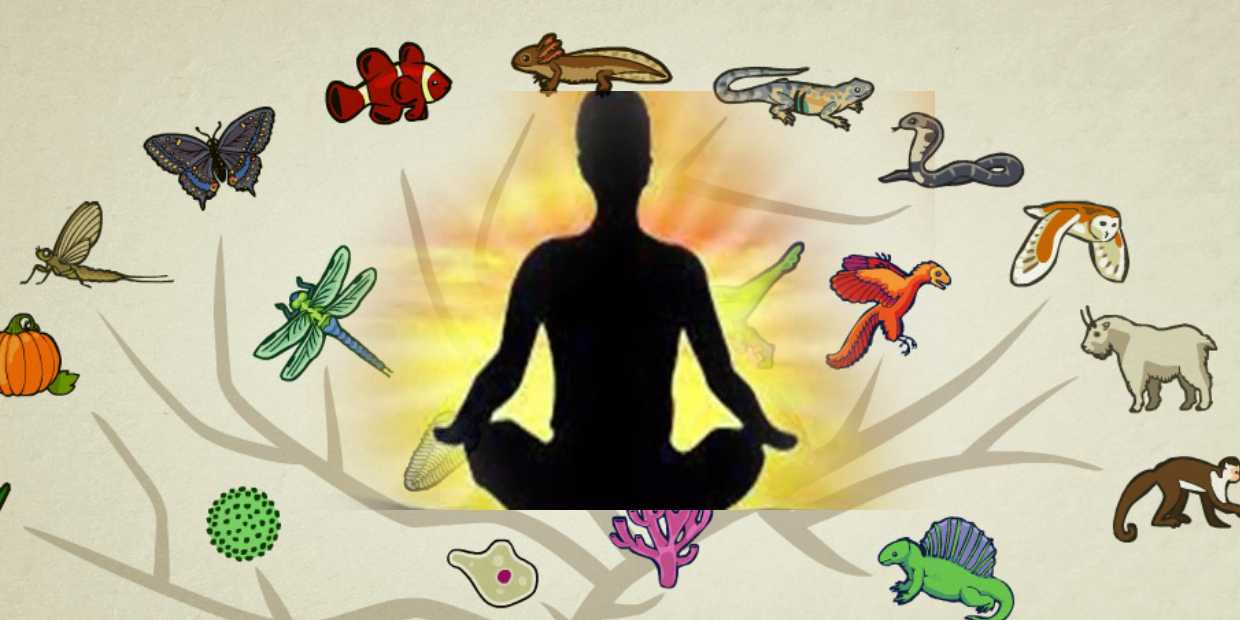 7 பிறவிகள் என்பது உண்டா? ஒரு மனிதன் மீண்டும் மனிதனாகவே பிறப்பானா?