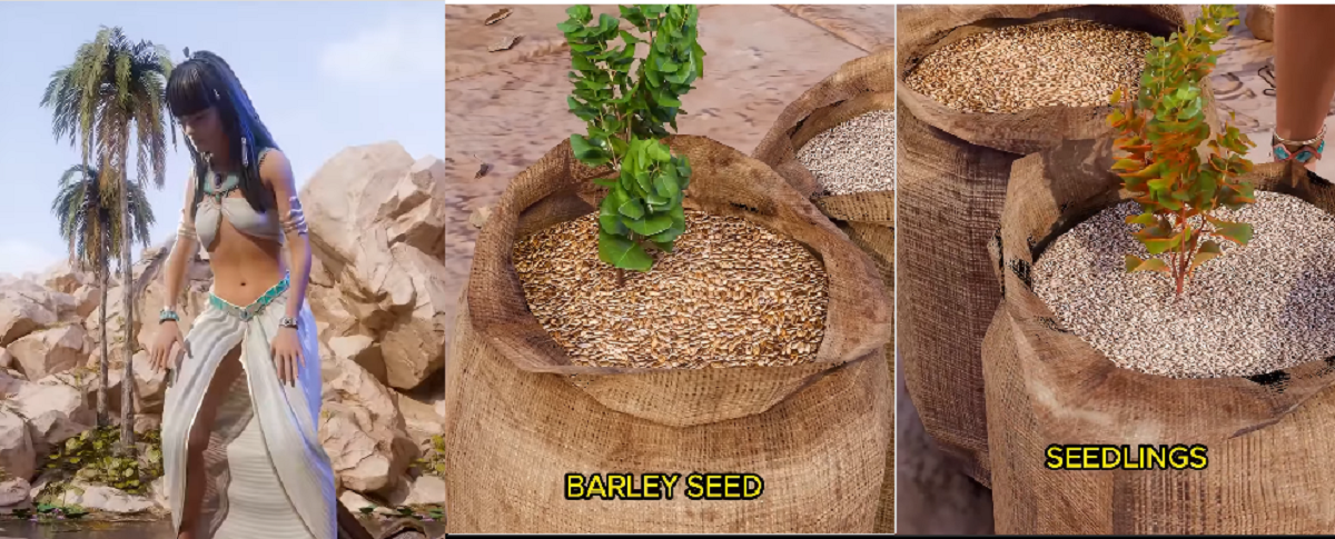 3500 ஆண்டுகளுக்கு முன்பே கர்ப்ப பரிசோதனை செய்த பெண்கள்.. வயிற்றில் உள்ள குழந்தை என்ன பாலினம் என்பதையும் கண்டுபிடித்தனர்.. ஒரு ஆச்சரியமான வீடியோ..