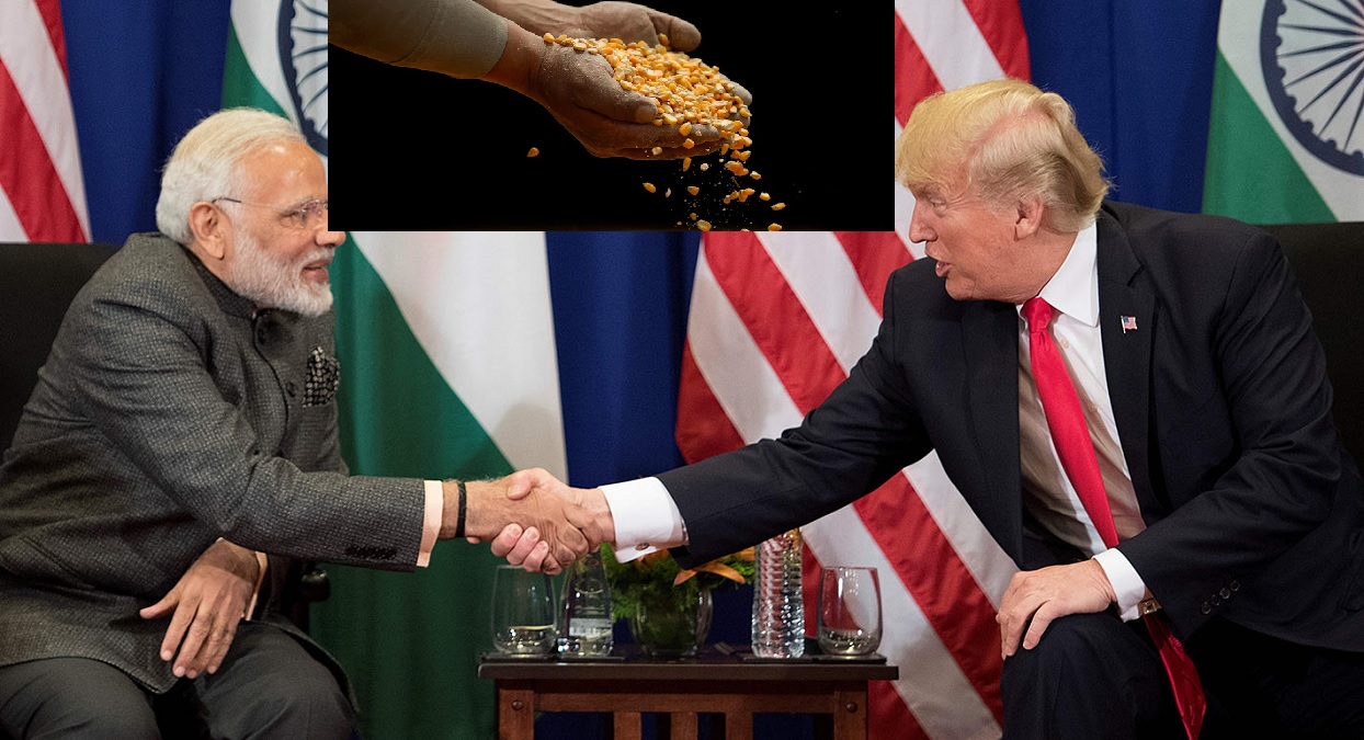 140 கோடி மக்கள் தொகை இருக்கீங்க.. எங்களிடம் மக்காச்சோளம் வாங்குங்க.. இந்தியாவிடம் கெஞ்சும் அமெரிக்கா.. உன்னோட மக்காச்சோளம் எங்களுக்கு தேவையில்லை, அதிரடி காட்டிய இந்தியா.. வல்லரசையே கதற விட்ட இந்தியா..!