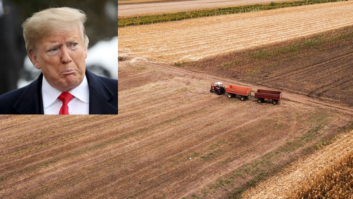 திவால் ஆகும் அமெரிக்க விவசாயிகள்.. டிரம்பின் வர்த்தக போர் எங்கே கொண்டு போய் நிறுத்தியிருக்கு பாத்தீங்களா? கனடா எடுத்த ‘மறுப்பு’ முடிவால் திண்டாட்டத்தில் அமெரிக்க விவசாயிகள்.. இனி சோறுக்கு எங்கே போவீங்க? தொழில்நுட்பம் இருந்தால் போதுமா? சோறு வேண்டாமா?