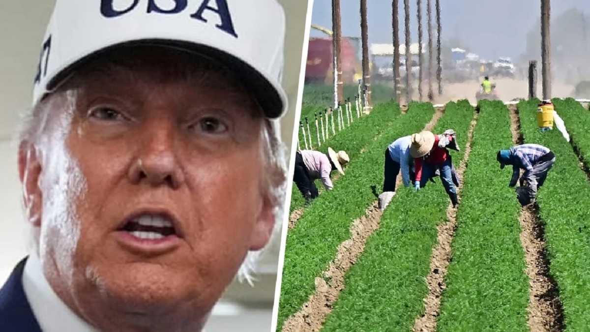 $12 பில்லியன் பிசினஸ் பூஜ்ஜியமாகிவிட்டது.. டிரம்ப் எங்கள் வாழ்க்கையை சீரழித்துவிட்டார்.. புலம்பும் அமெரிக்க விவசாயிகள்.. வர்த்தக கொள்கையால் வாடி வதங்கும் விவசாயிகள்.. நோபல் விருதுக்காக தாய்நாட்டை நசுக்கும் டிரம்ப்