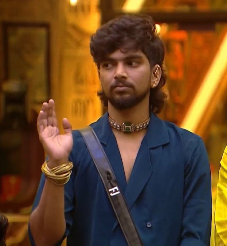 FJ in Bigg Boss 9