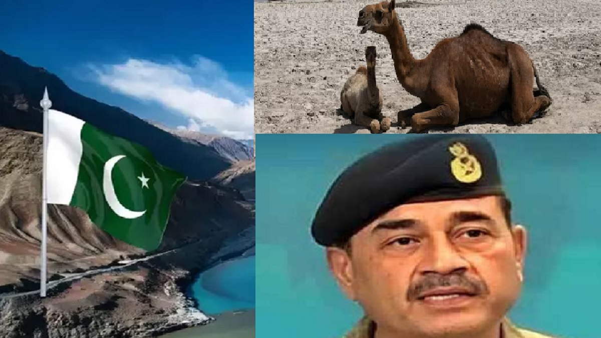 அணைகளில் சுத்தமாக தண்ணீர் இல்லை.. பாலைவனமாகிறதா பாகிஸ்தான்? அரசுக்கு எதிராக ஒன்றிணையும் தீவிரவாதிகளின் குழுக்கள்.. திடீர் திடீரென காணாமல் போகும் அப்பாவி பாகிஸ்தான் மக்கள்.. சொந்த நாட்டிலேயே வெடிக்கும் போராட்டம்.. இந்தியாவுக்கு வேலையே இல்லை.. பாகிஸ்தான் தானாக அழிந்துவிடுமா?