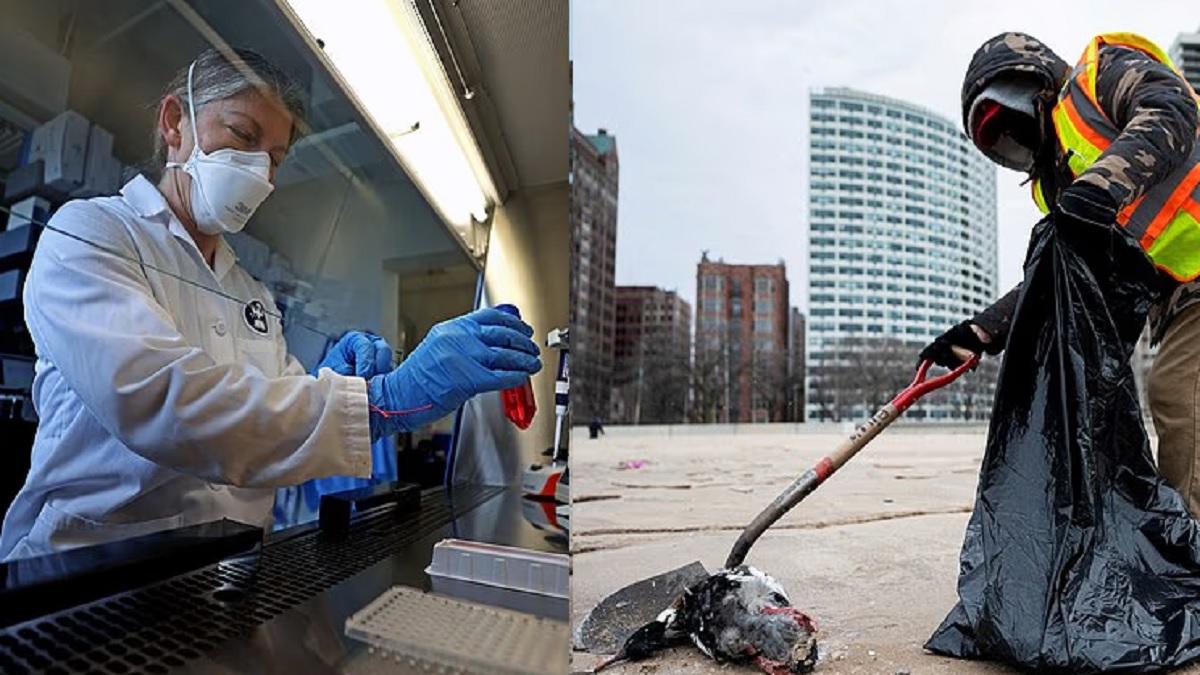 இதுவரை மனித இனம் கண்டுபிடிக்காத புதிய வைரஸ்க்கு அமெரிக்கர் பலி.. கொரோனாவை விட பயங்கர தொற்றாக மாறுமா? வாஷிங்டன் சுகாதாரத்துறை சொல்வது என்ன? இறந்த நபரின் உறவினர்களுக்கும் தொற்று உள்ளதா? விலங்குகளுக்கு மட்டும் பரவிய வைரஸ் மனிதர்களுக்கு எப்படி பரவியது?