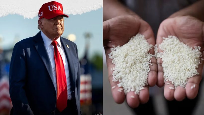 trump rice