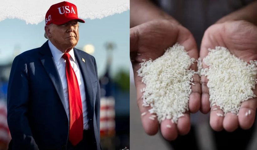 trump rice