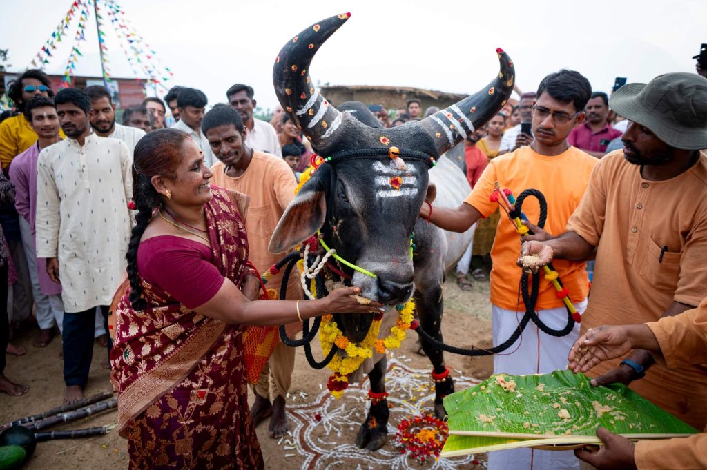 ஈஷாவில் பொங்கல் திருவிழா: கவனம் ஈர்த்த நாட்டு மாடுகள், கிராமிய கலை நிகழ்ச்சிகள் மற்றும் வெளிநாட்டவரின் சிலம்பம்!