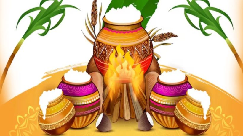 pongal