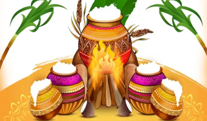 pongal