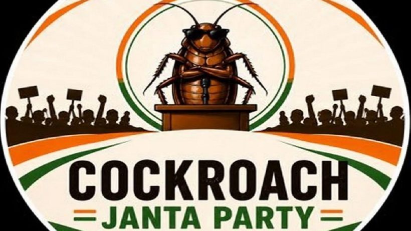 cockroach