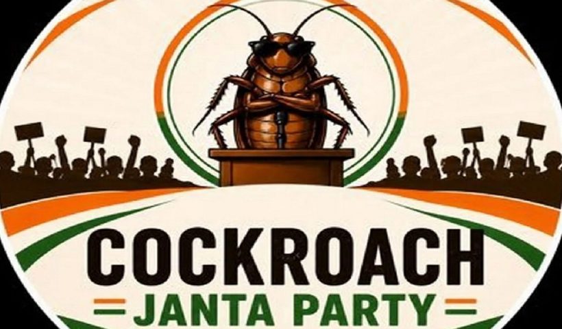 cockroach
