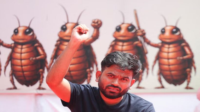 cockroach1