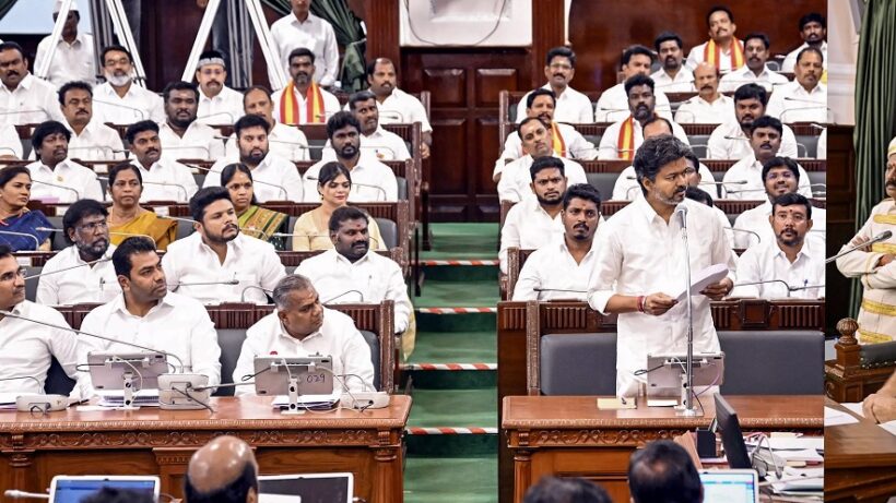mlas assembly