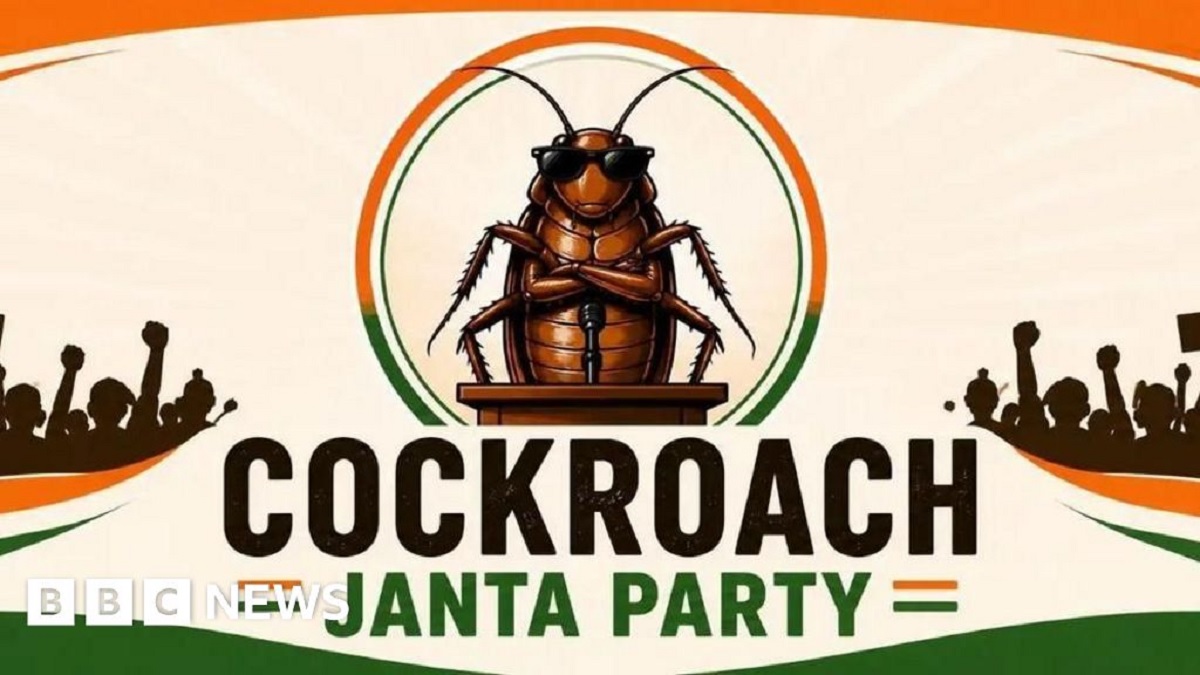 cockroach
