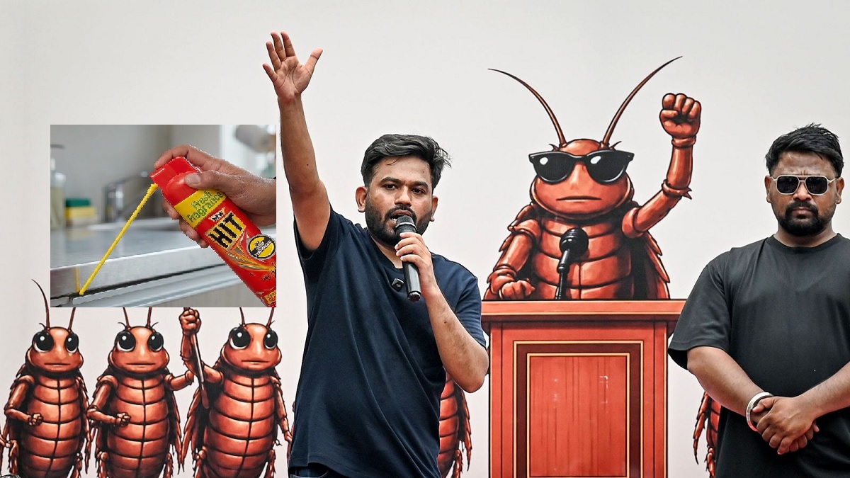 cockroach1