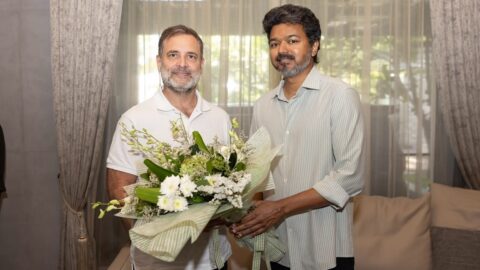 rahul vijay