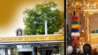 vanji amman